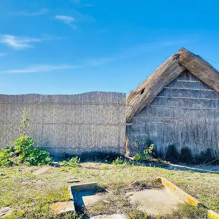 Pour 4 Vue Sur La Marina De カネ