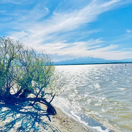 Pour 4 Vue Sur La Marina De アパート *